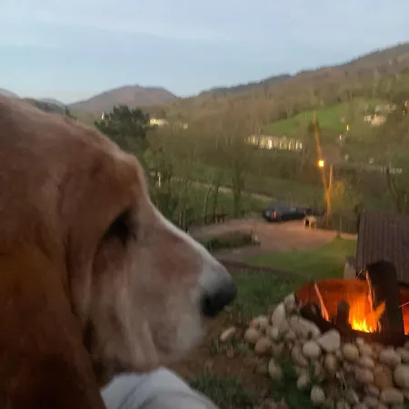 La Penona Carancos 48 En *