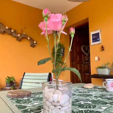 La Penona Carancos 48 En Séjour chez l'habitant Nava