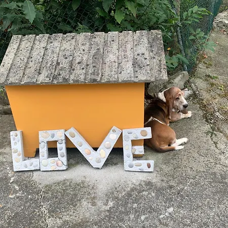 La Penona Carancos 48 En Séjour chez l'habitant